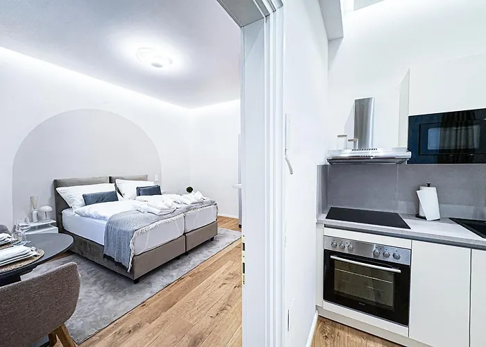 1 Bdr - Noble, In Vienna's Center Apartament *